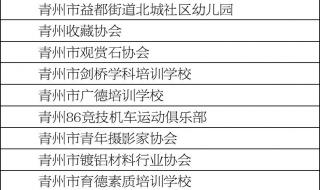 公司注销清算报告模版