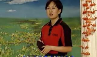 赵霞乒乓球教学视频