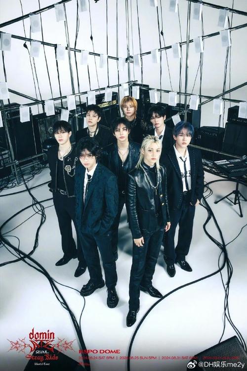 StrayKids演唱会(票房号召力)(straykids所有演唱会)