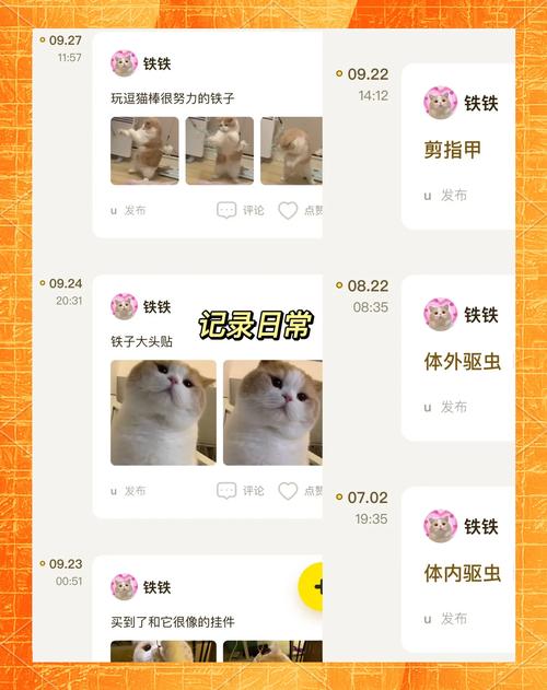 宠物日常(萌宠互动)(宠物日常记录app)