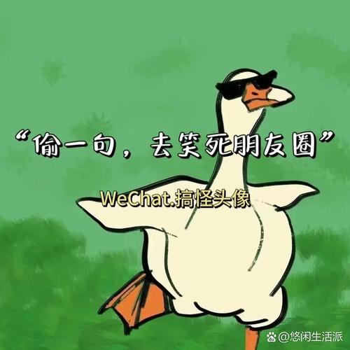 朋友圈趣事（朋友圈趣味图片配文字）