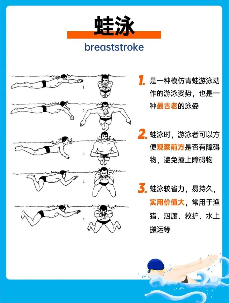 游泳技巧(游泳技巧初学者视频)