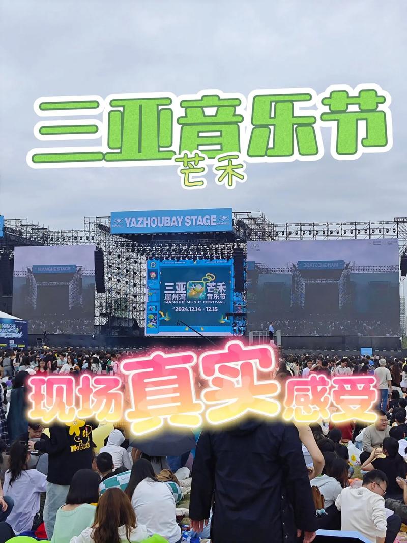 音乐节现场(音乐节现场升级vip要多少钱一个)