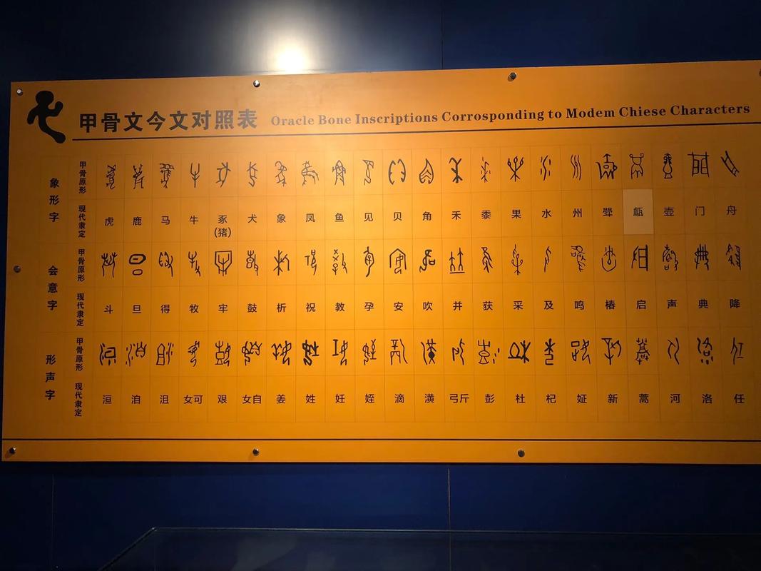 殷墟甲骨文中的传染病(殷墟甲骨文对疾病名称的确定)