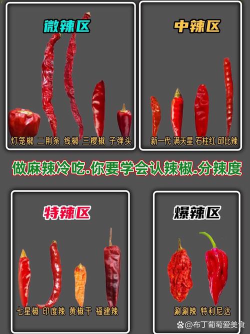 为什么辣不是味觉（辣不是味觉吗?）