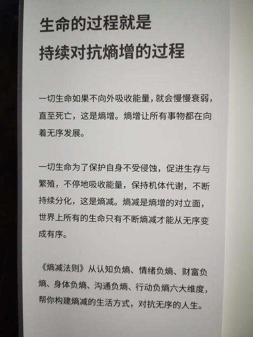 时间旅行者的熵增困境（时间旅行者生存指南）