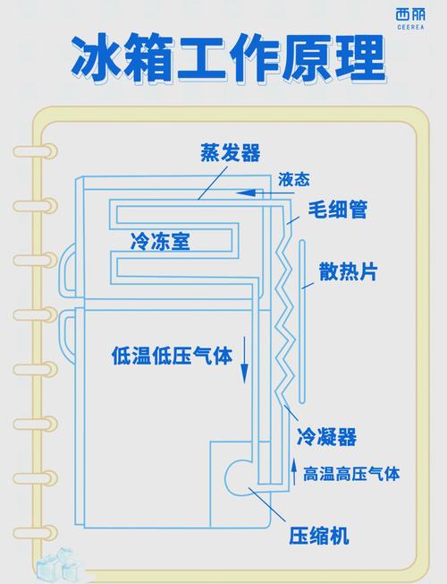 冰箱省电的熵增战争(冰箱省电的方法有哪些)