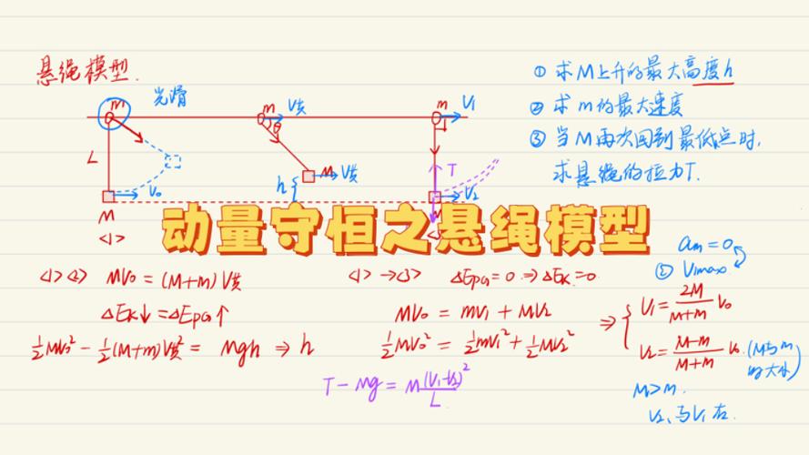 人类极限寿命的数学模型(人类极限寿命的数学模型有哪些)