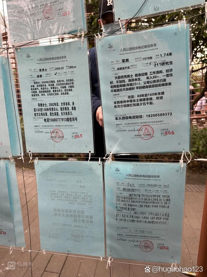 在相亲角挂游戏账号的后果（相亲角成功率）