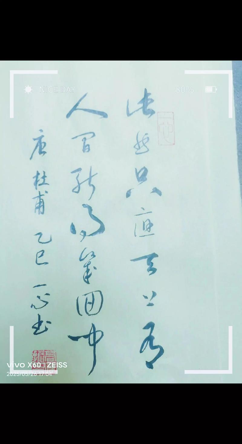 如果杜甫参加脱口秀大会（如果杜甫知道几百年后）