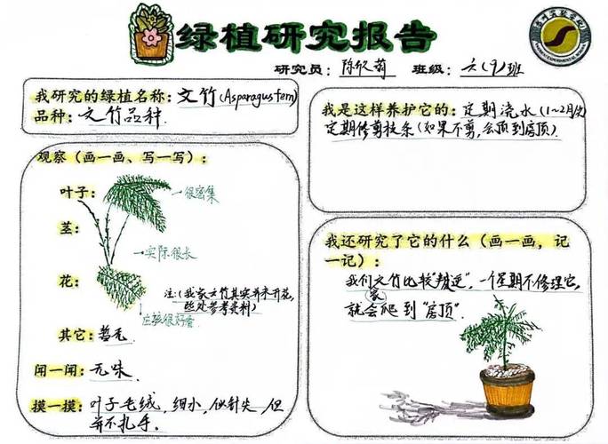 打工人办公室植物生存报告的简单介绍