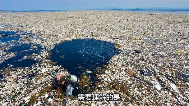 太平洋垃圾带的塑料降解菌（降解塑料垃圾袋）